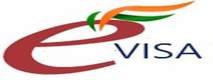E Visa Logo
